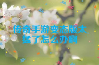 传奇手游变态版太猛了怎么办啊