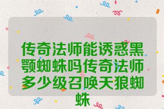 传奇法师能诱惑黑颚蜘蛛吗传奇法师多少级召唤天狼蜘蛛