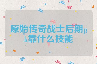 原始传奇战士后期pk靠什么技能