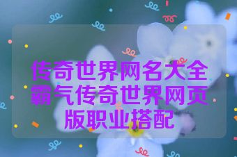 传奇世界网名大全霸气传奇世界网页版职业搭配
