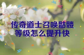 传奇道士召唤骷髅等级怎么提升快