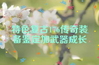 特色复古176传奇装备鉴定加武器成长