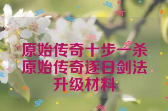 原始传奇十步一杀原始传奇逐日剑法升级材料