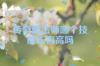传奇里法师哪个技能伤害高吗