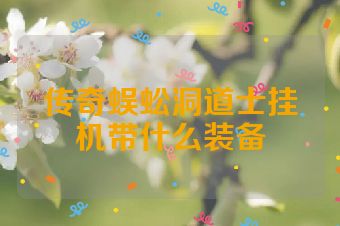 传奇蜈蚣洞道士挂机带什么装备