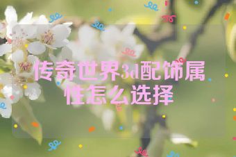 传奇世界3d配饰属性怎么选择