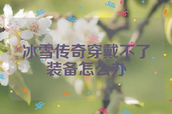 冰雪传奇穿戴不了装备怎么办