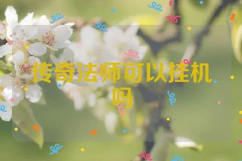 传奇法师可以挂机吗