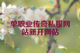 单职业传奇私服网站新开网站