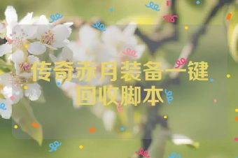 传奇赤月装备一键回收脚本