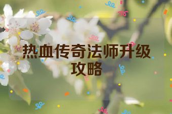 热血传奇法师升级攻略