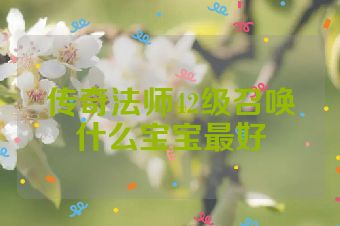 传奇法师42级召唤什么宝宝最好