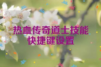 热血传奇道士技能快捷键设置
