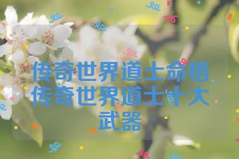 传奇世界道士命格传奇世界道士十大武器