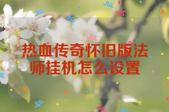 热血传奇怀旧版法师挂机怎么设置
