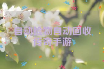 自动捡物自动回收传奇手游