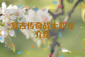 复古传奇战士职业介绍