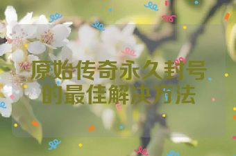 原始传奇永久封号的最佳解决方法