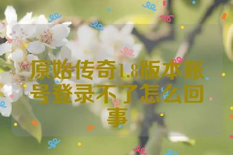 原始传奇1.8版本账号登录不了怎么回事