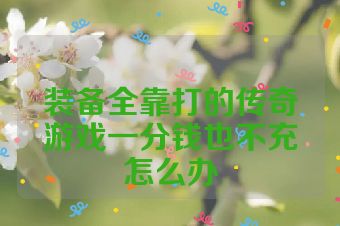 装备全靠打的传奇游戏一分钱也不充怎么办