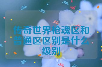 传奇世界枪魂区和普通区区别是什么级别
