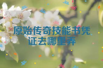 原始传奇技能书凭证去哪里弄