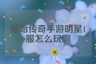 原始传奇手游明星1服怎么玩啊