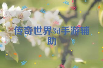 传奇世界3d手游辅助