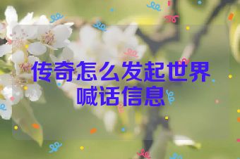 传奇怎么发起世界喊话信息