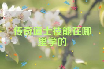 传奇道士技能在哪里学的
