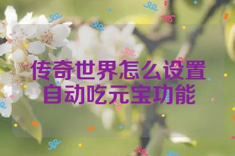 传奇世界怎么设置自动吃元宝功能