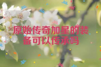 原始传奇加星的装备可以传承吗