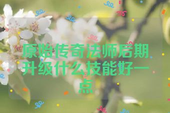 原始传奇法师后期升级什么技能好一点