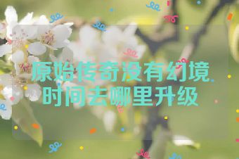原始传奇没有幻境时间去哪里升级