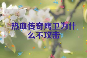 热血传奇鹰卫为什么不攻击