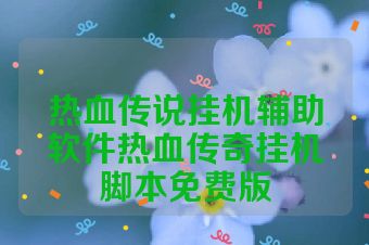 热血传说挂机辅助软件热血传奇挂机脚本免费版