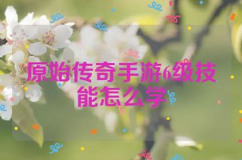 原始传奇手游6级技能怎么学