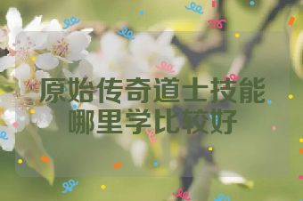 原始传奇道士技能哪里学比较好