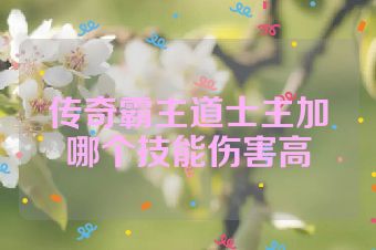 传奇霸主道士主加哪个技能伤害高
