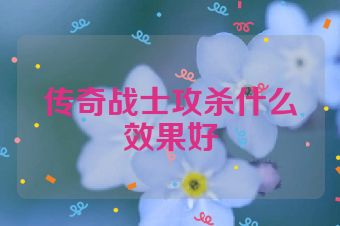 传奇战士攻杀什么效果好