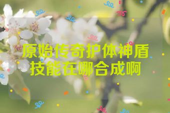 原始传奇护体神盾技能在哪合成啊