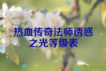 热血传奇法师诱惑之光等级表