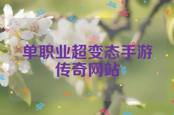 单职业超变态手游传奇网站