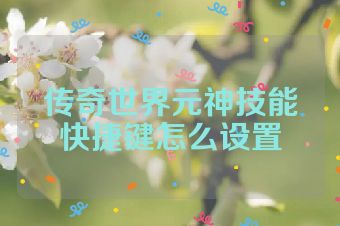 传奇世界元神技能快捷键怎么设置