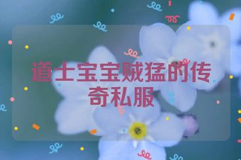 道士宝宝贼猛的传奇私服