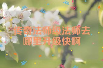 传奇法师级法师去哪里升级快啊