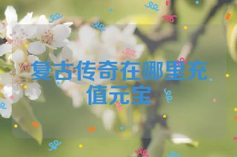 复古传奇在哪里充值元宝