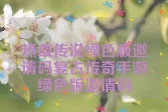 热血传说绿色版邀请码复古传奇手游绿色版邀请码