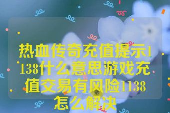 热血传奇充值提示1138什么意思游戏充值交易有风险1138怎么解决