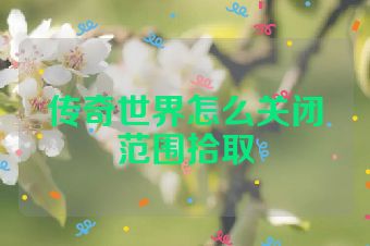 传奇世界怎么关闭范围拾取